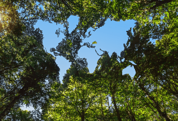 Ilgtspējīga nākotne